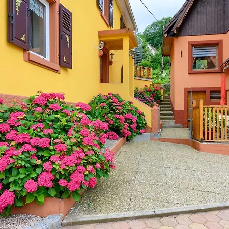 Balboa Villa Sondernach